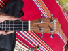 Ukulele